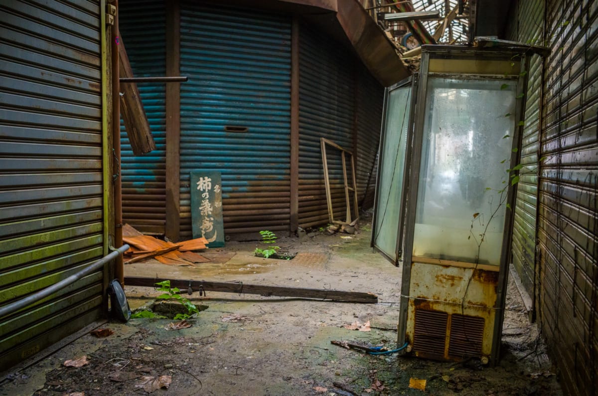 The overgrown beauty of a long abandoned Japanese shopping arcade