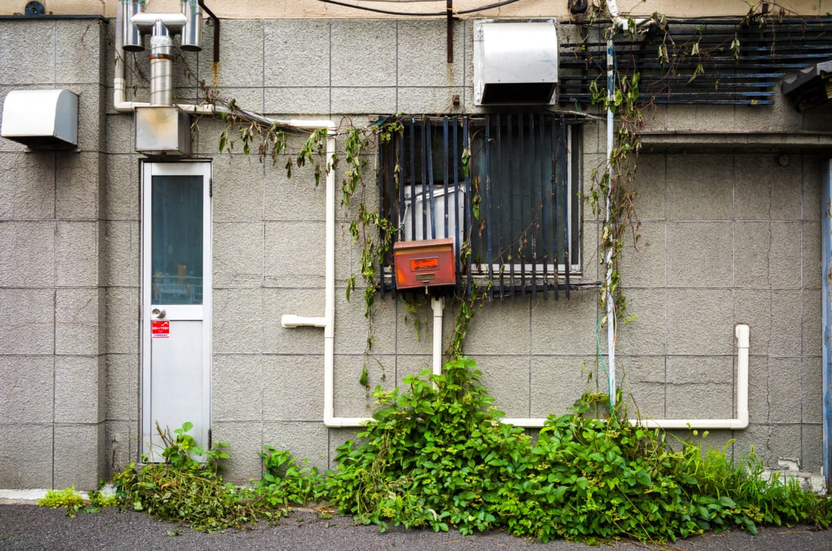 A morning meander through non-touristy Tokyo