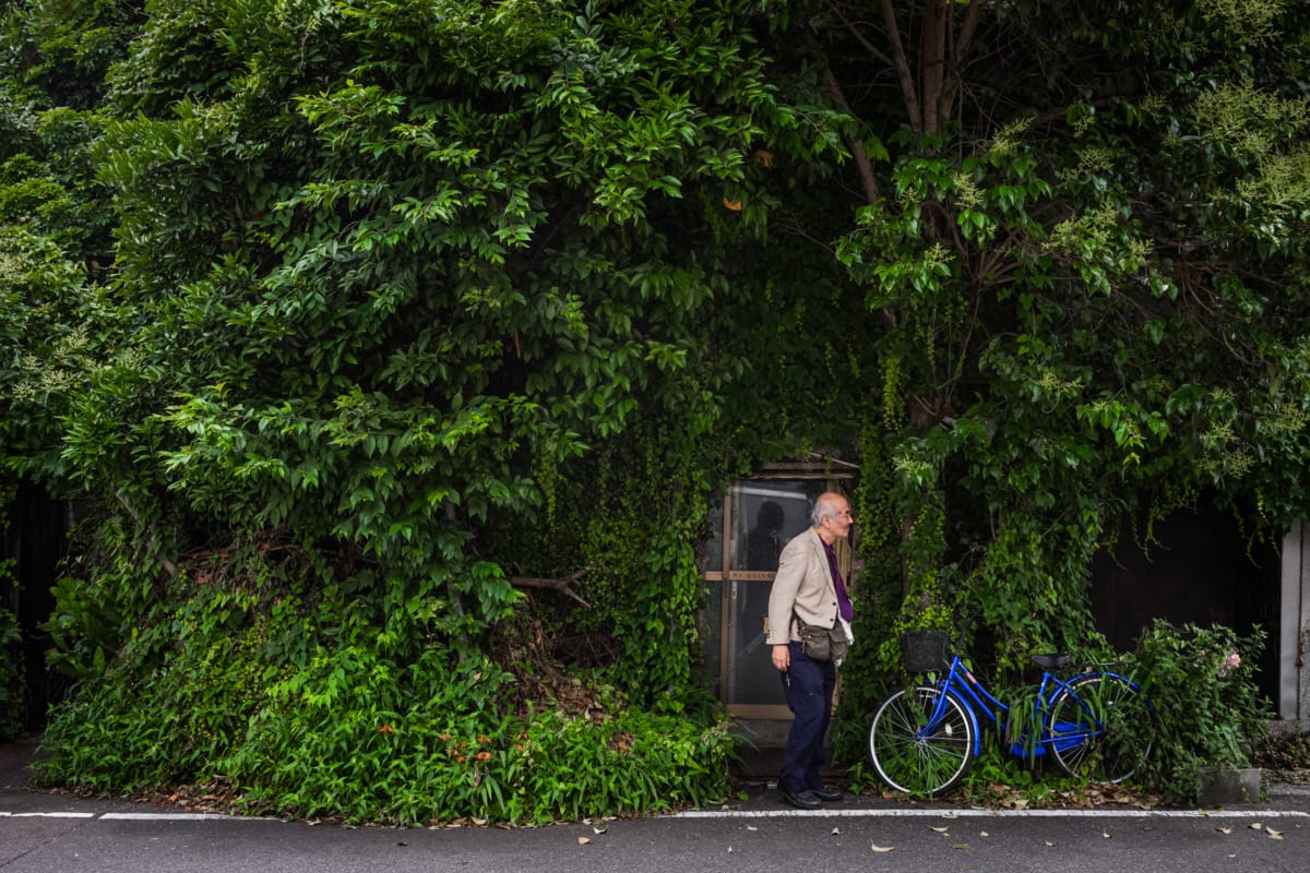 photos from Tokyo’s most overgrown hotel