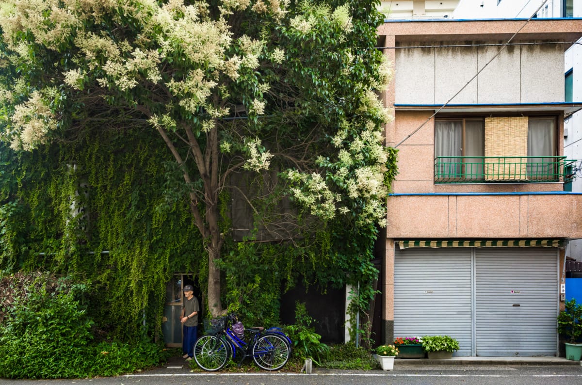 photos from Tokyo’s most overgrown hotel