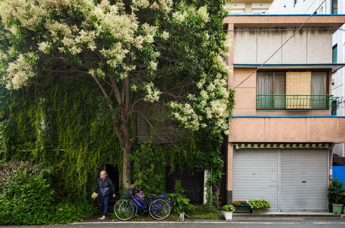 photos from Tokyo’s most overgrown hotel