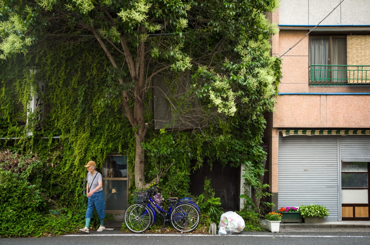 photos from Tokyo’s most overgrown hotel