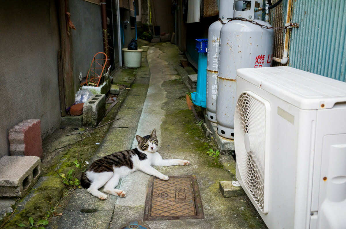 Quiet scenes from a dated Japanese fishing town