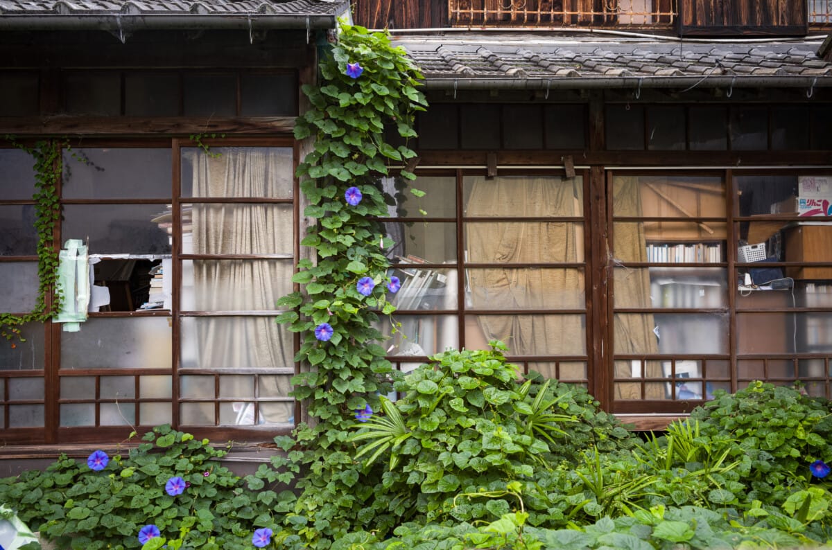 Scenes from a slowly declining Japanese city