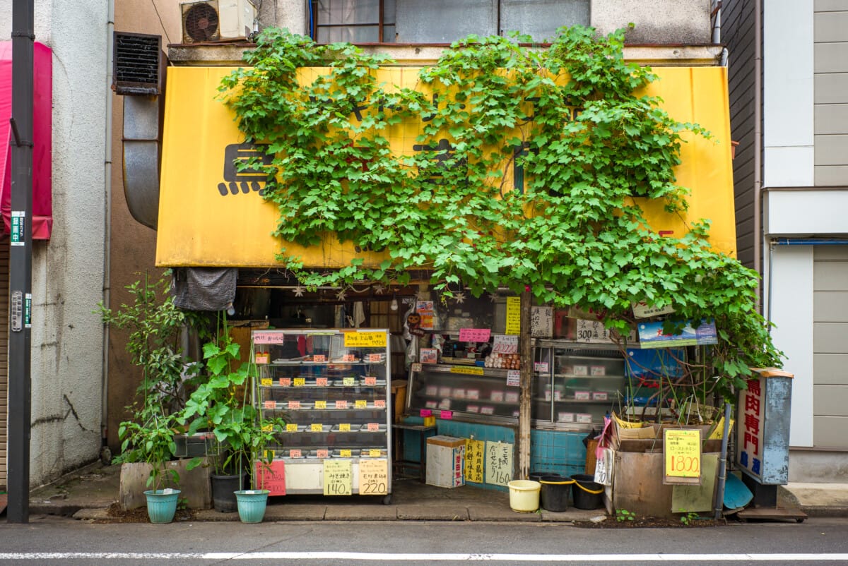 Showa era Tokyo shops and businesses