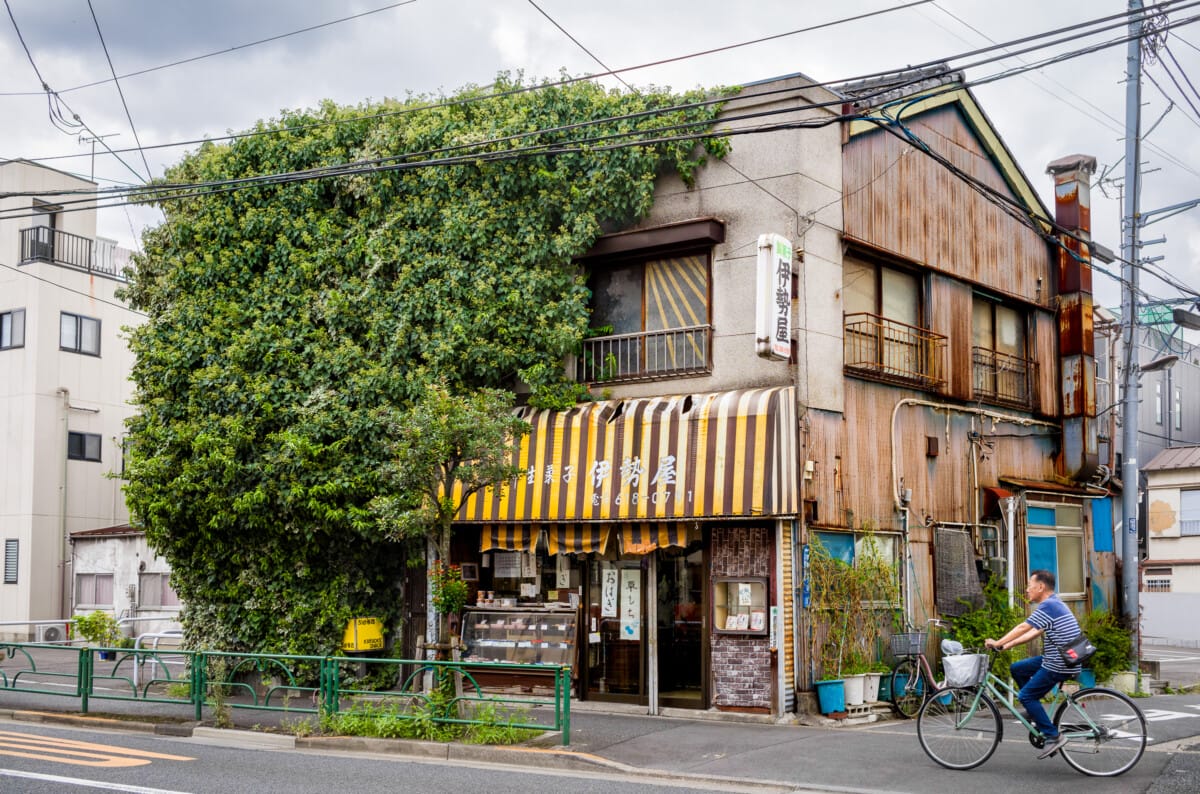 Showa era Tokyo shops and businesses