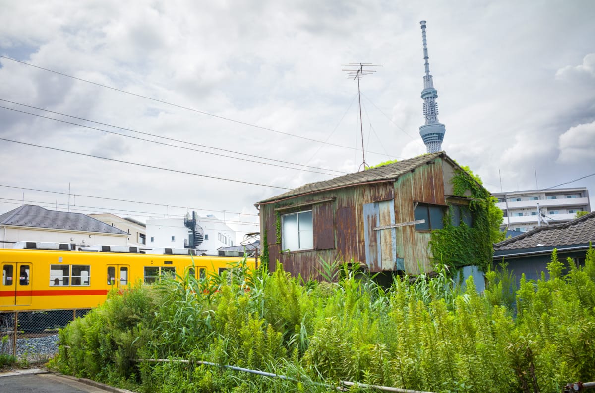 The simple pleasure of old Tokyo scenes and personalities