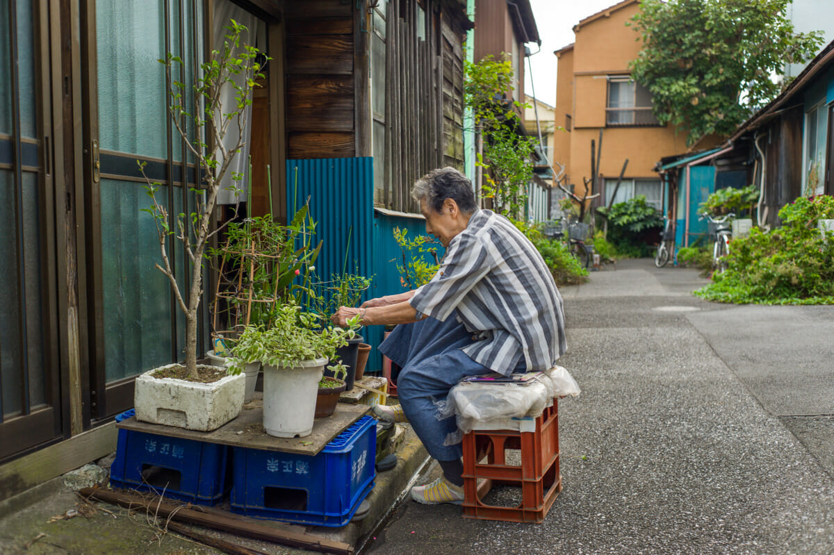 Tokyo before and after