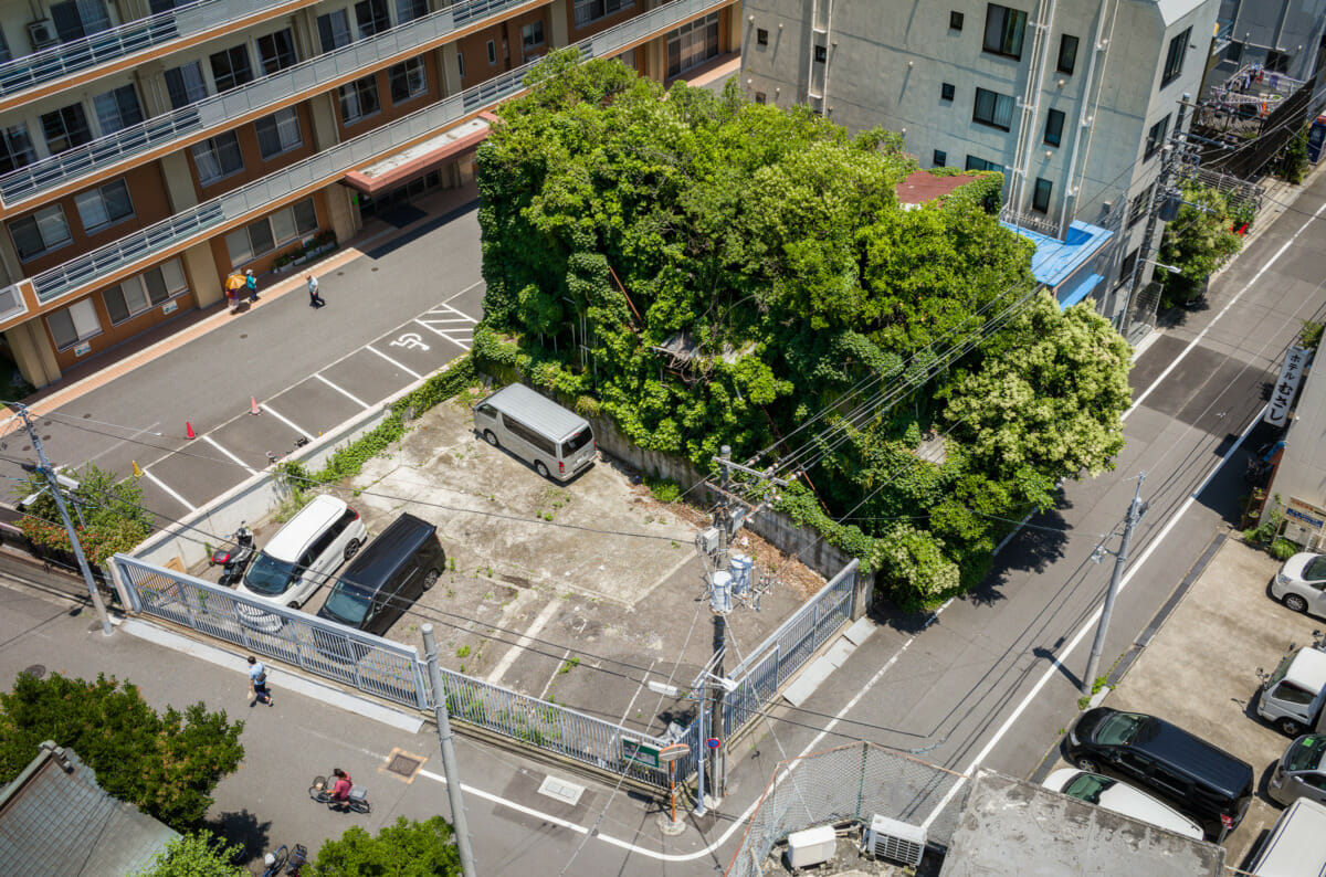 an incredibly overgrown old Tokyo hotel