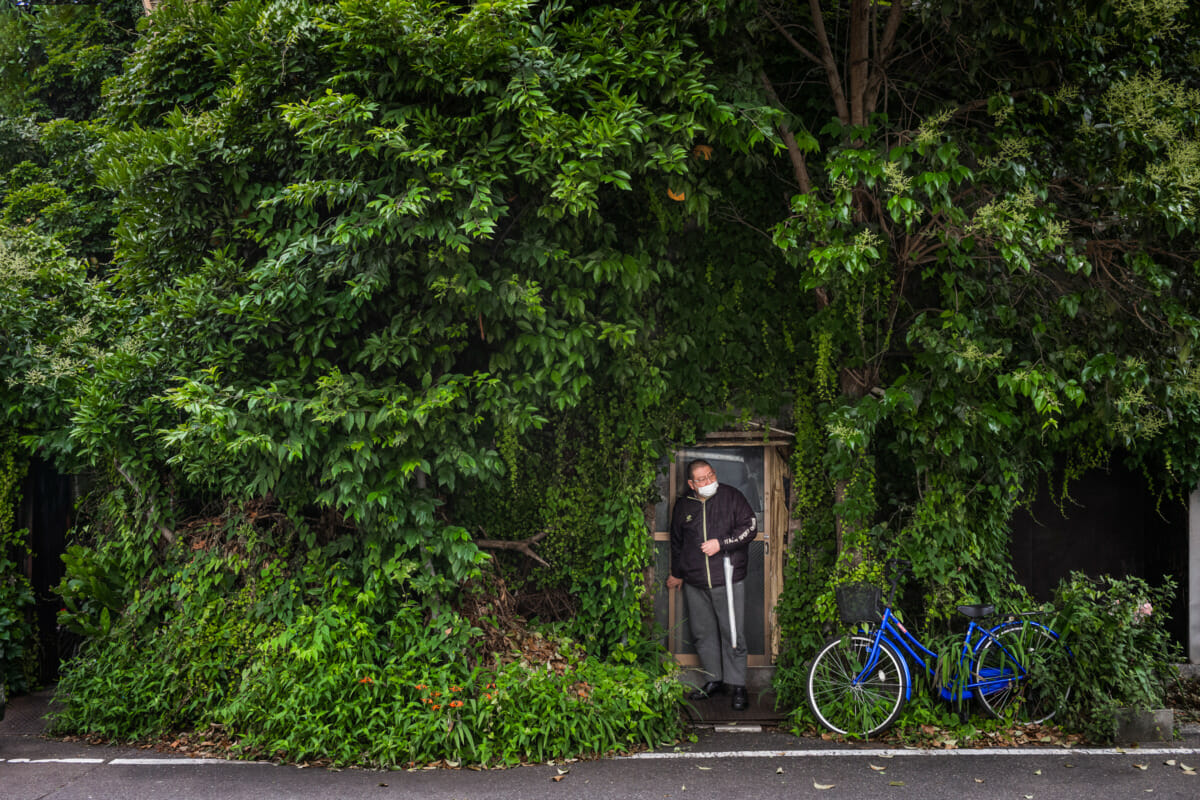 an incredibly overgrown old Tokyo hotel