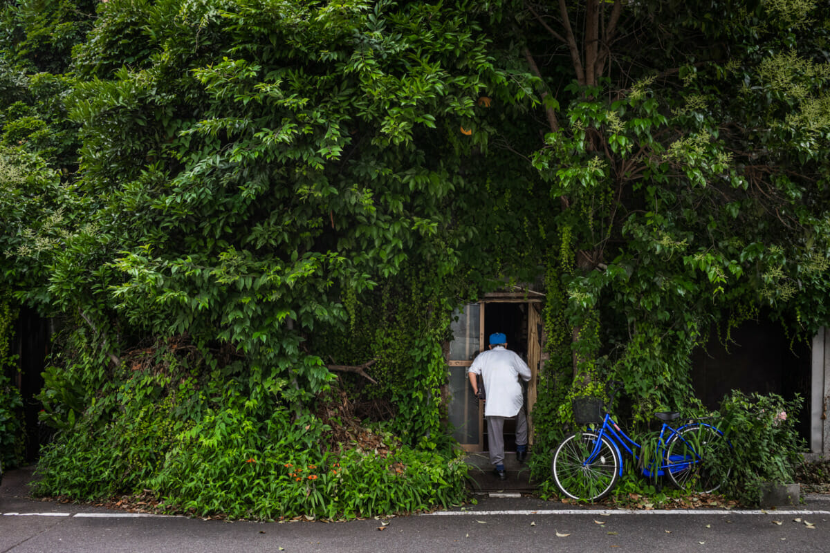 an incredibly overgrown old Tokyo hotel