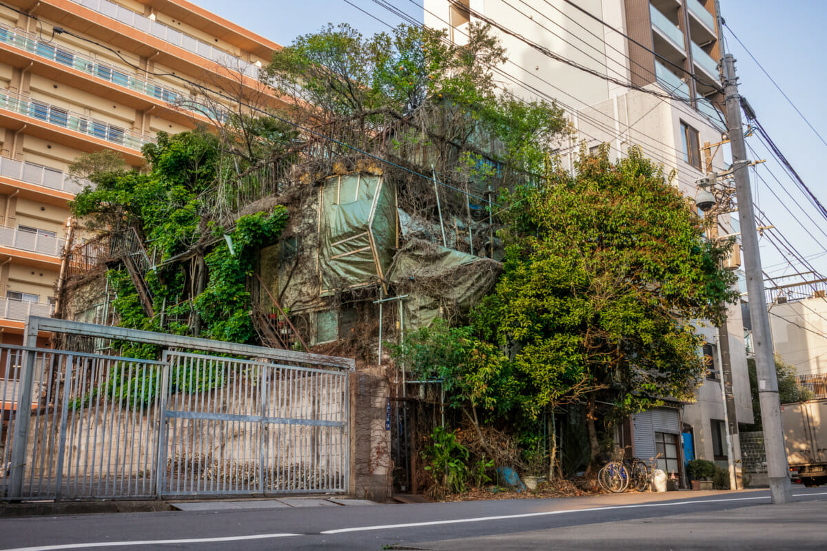 an incredibly overgrown old Tokyo hotel