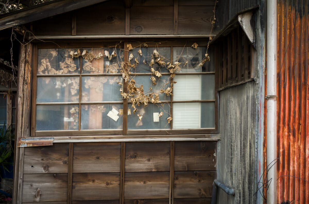 Recent Tokyo photos that are reminiscent of a different time