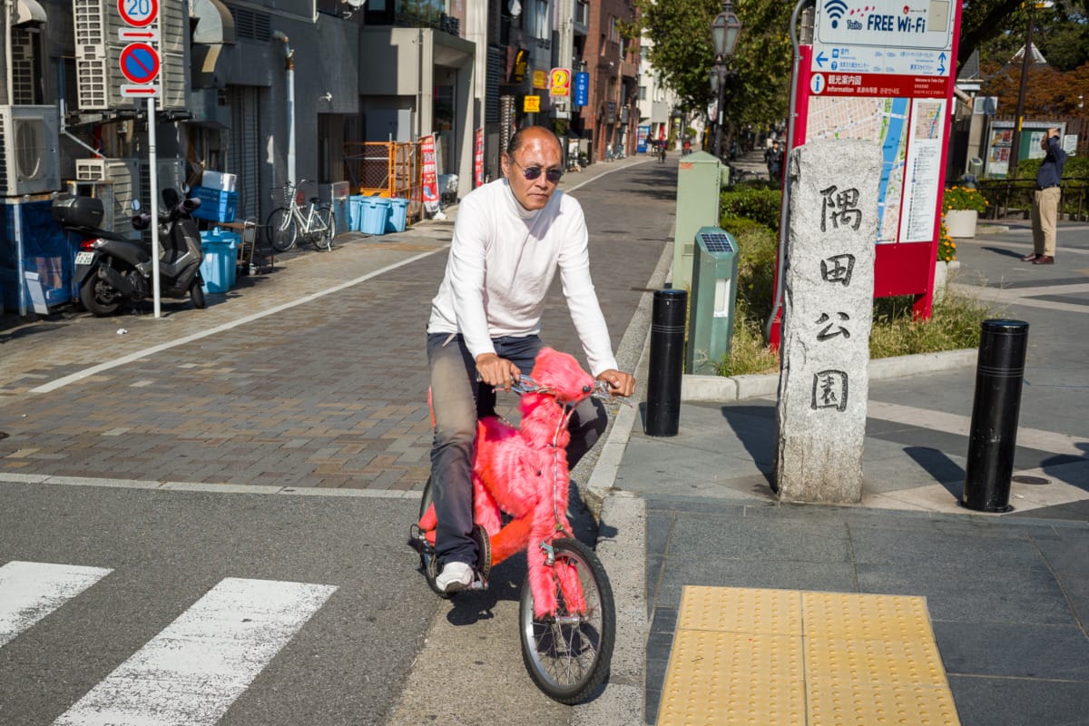 unusual Tokyo transportation