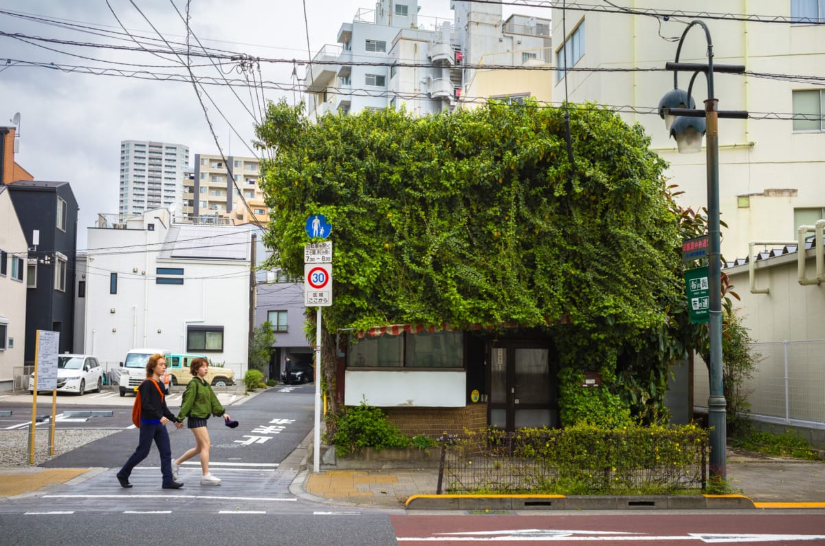 Scenes of urban Tokyo in spring