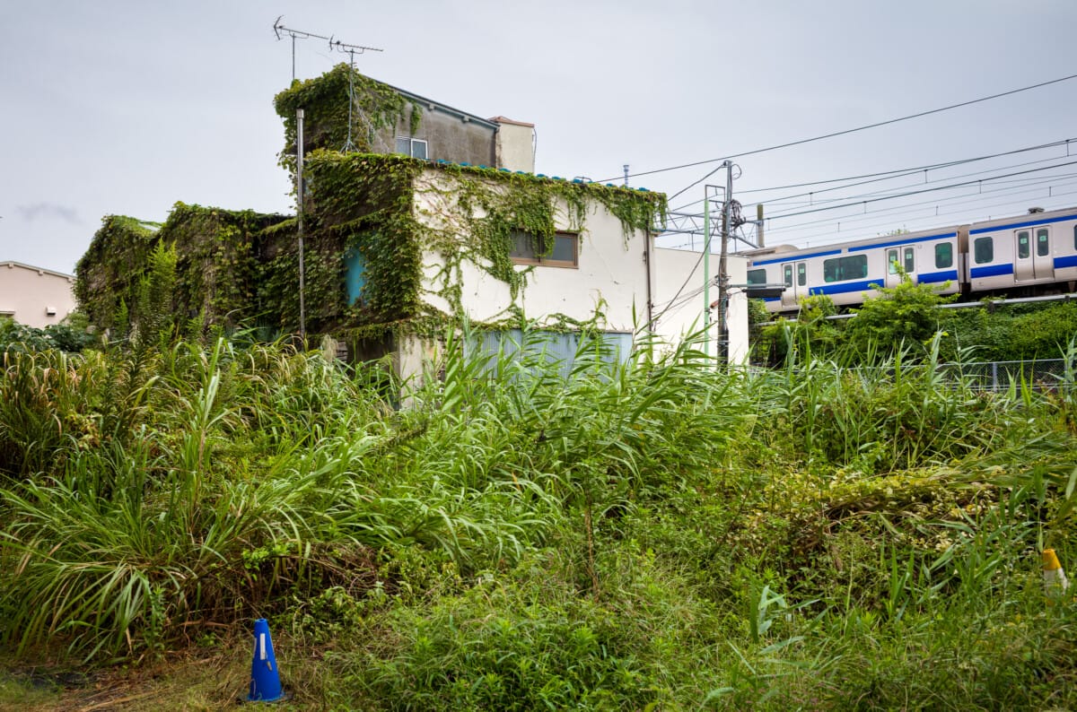 The varied sights of a rainy Tokyo walk